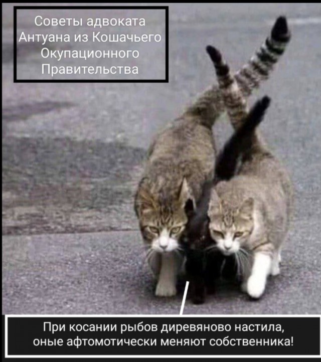 Ограбление дня