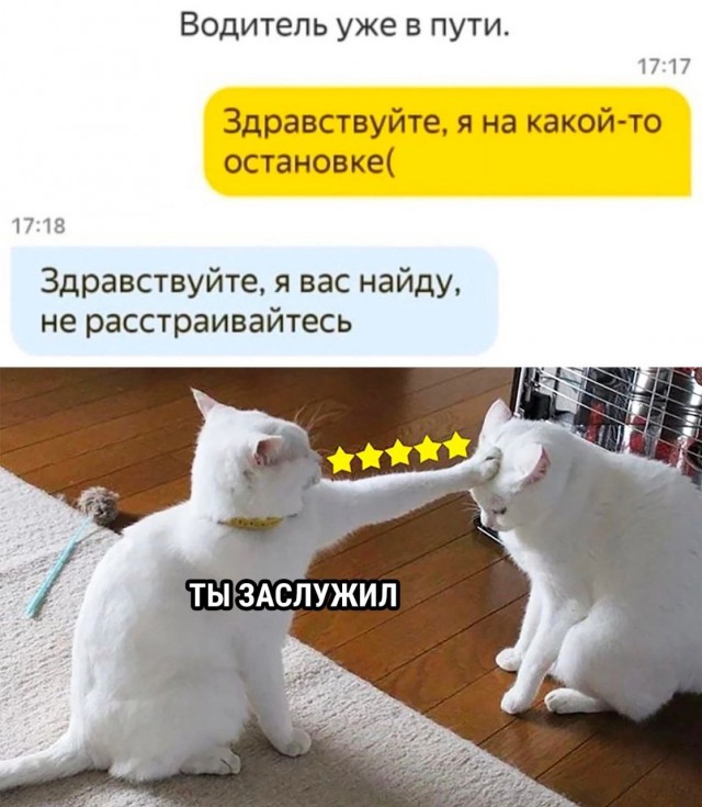 Скриншоты и комментарии из социальных сетей 07.10.23