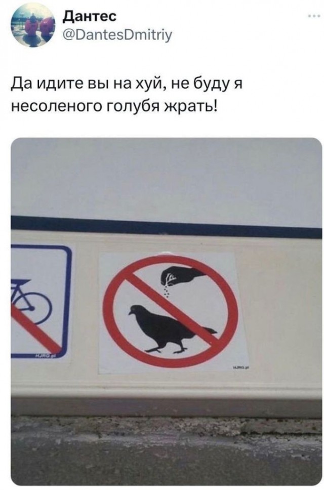 Пятничные картинки 19.01.2024