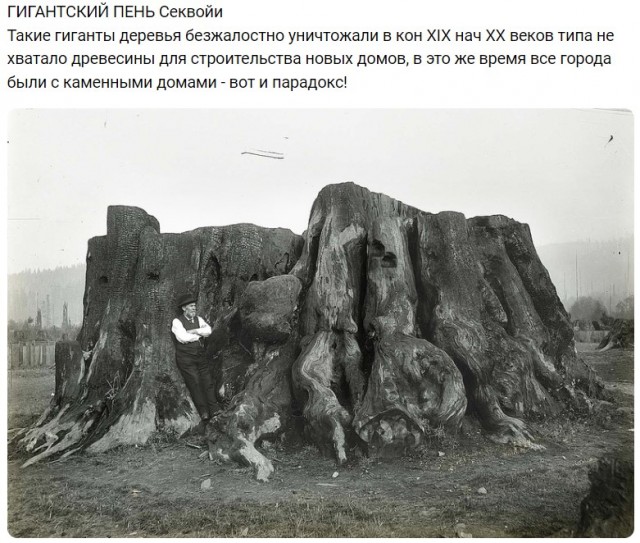 Небольшая подборка истрических фото (15.05)