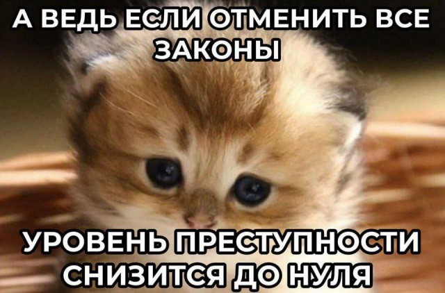 «Считают за рабов». Полицейские объяснили, почему их становится всё меньше в стране