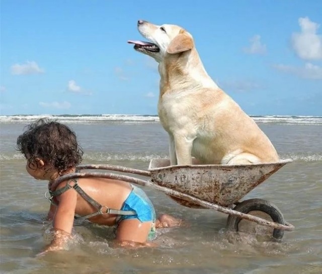 ФотоВинегрет
