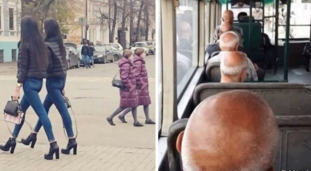 Произошла синхронизация котов