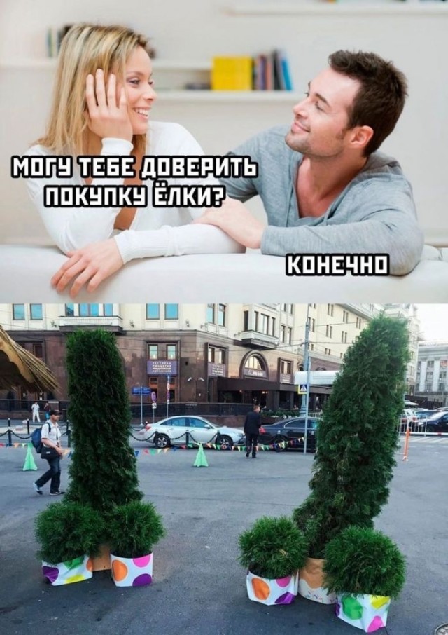 Так себе картинки 24.12.24