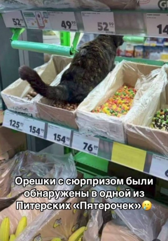 Так себе картинки 10.03.25