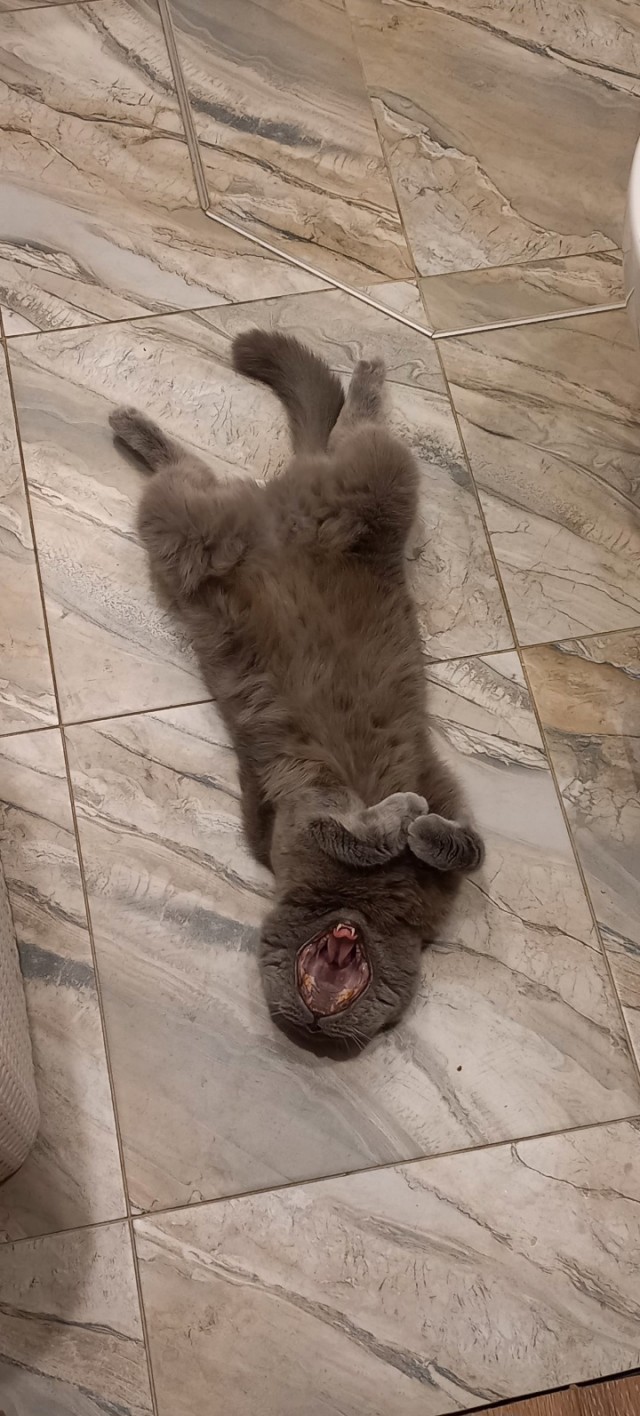 Будто Чужой смотрит прямо в душу...