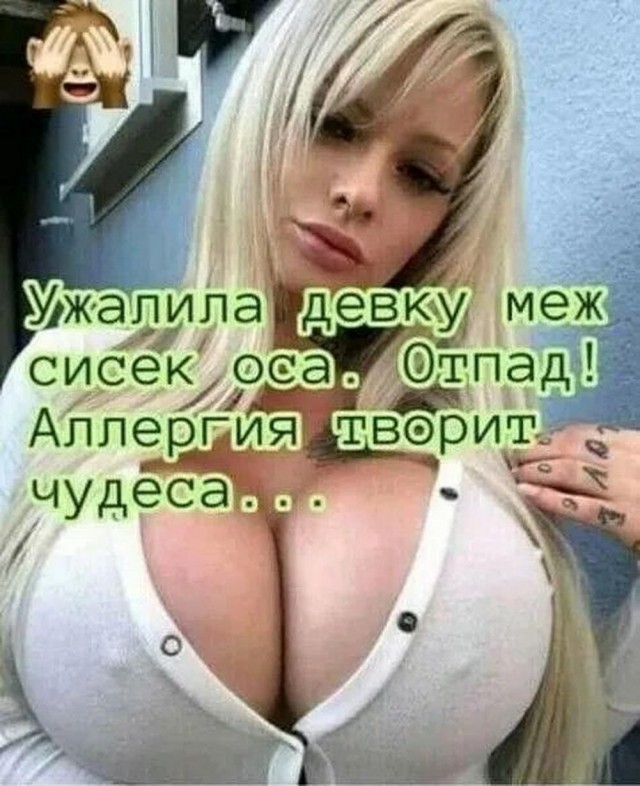 Так себе картинки 29.04.25