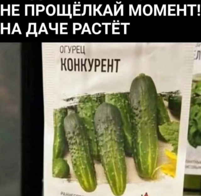 Интернет-мемчики на четверг и увлажнитель воздуха