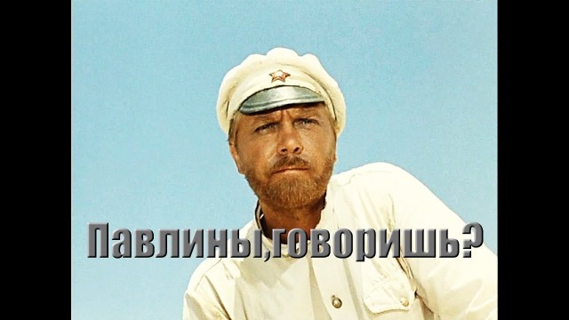 Самый богатый российский артист лишился доступа к деньгам: ФНС заморозила счета Юрия Антонова