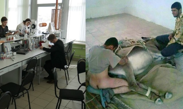 Контрасты