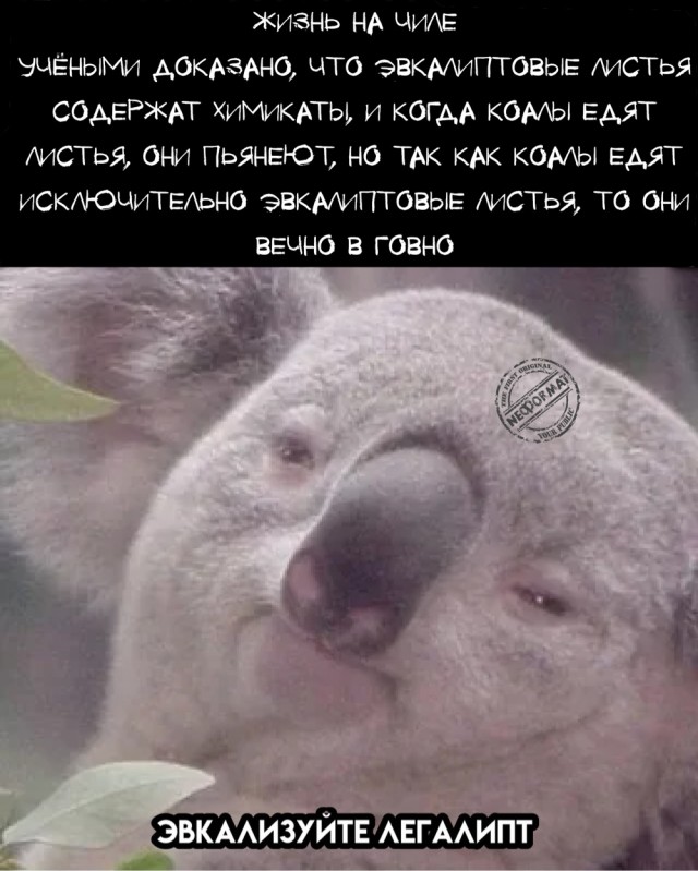 Картинок немного в среду утром