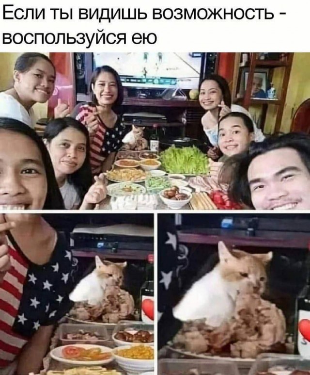 Мудрость дня