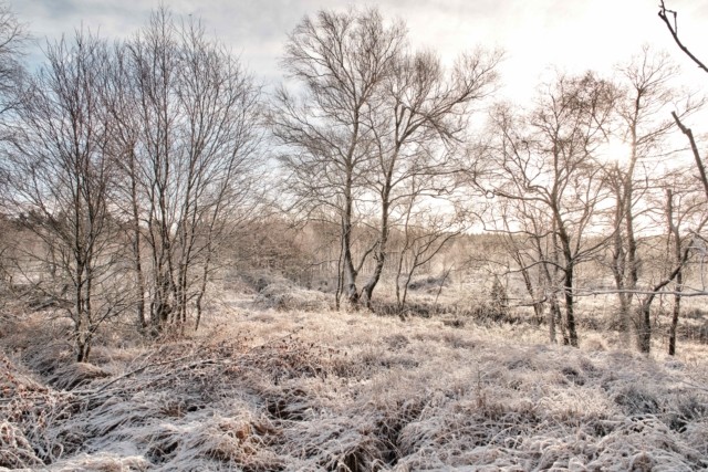 Европа встревожена приходом суровой зимней погоды