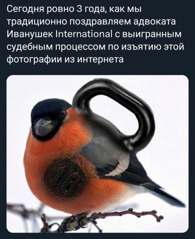 Картинки для деградации 101 (разной степени свежести)