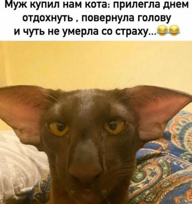 Вторника картинки