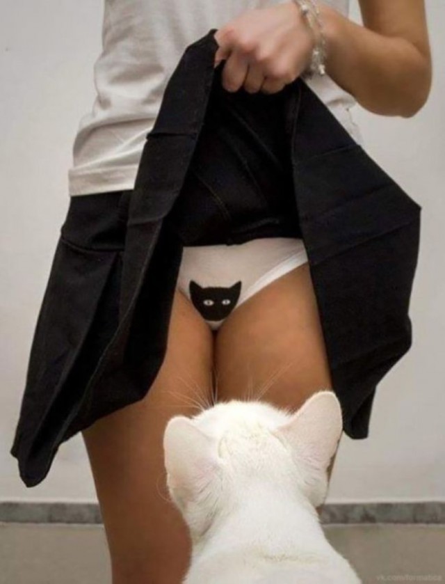 Картиночки на 15.01.2026