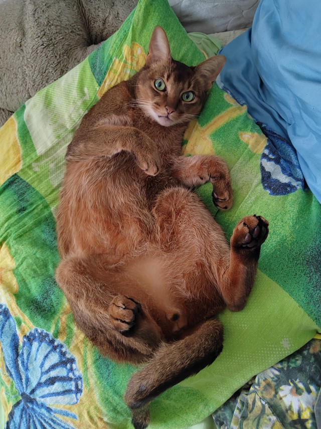 У кого