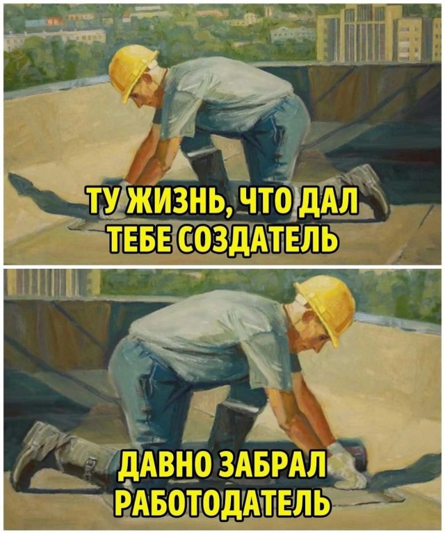 Веселые картинки в пятницу (20.02)