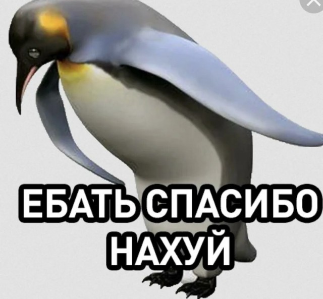 Степашин рассказал, можно ли хранить дома изъятые из продажи книги