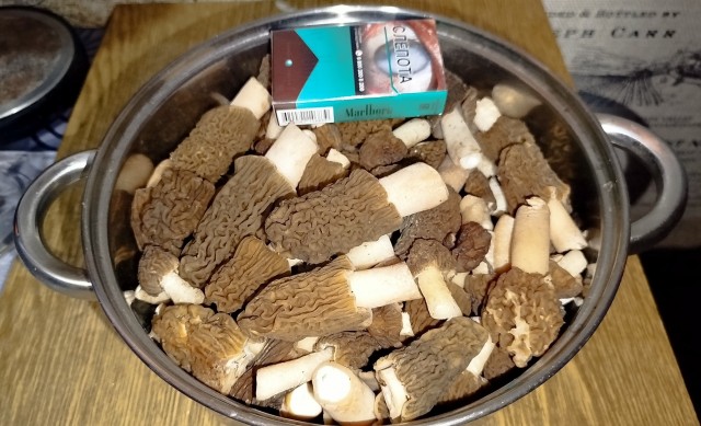 У нас в Рязани грибы с глазами.