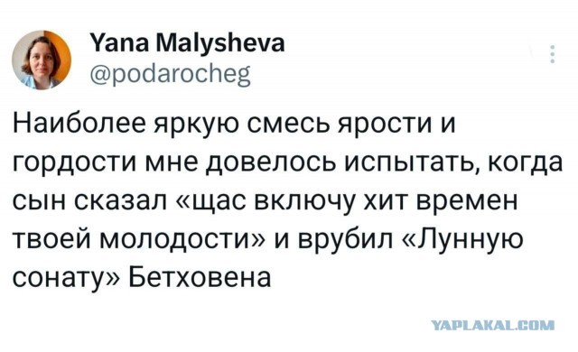 Так себе картинки 03.09.26