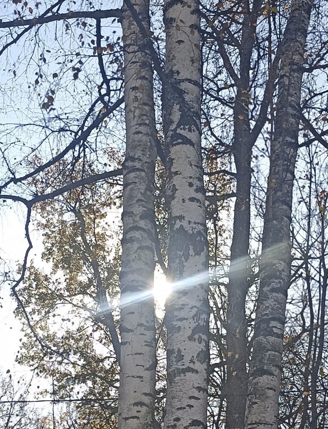 Красивой осени моменты