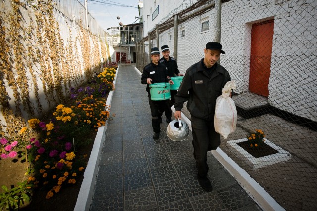 Зона. Вид почти изнутри