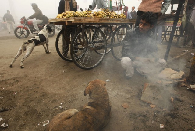 Погода в мире (19 фот)