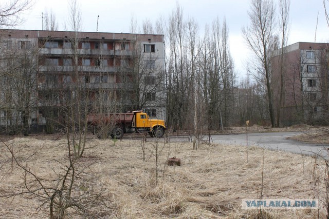 Зима в Зоне Отчуждения