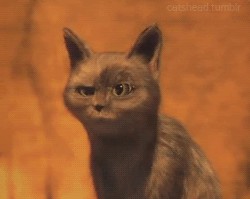 Черный вырубил черного