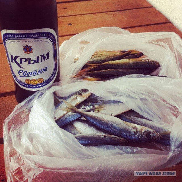 КаZантип 2014