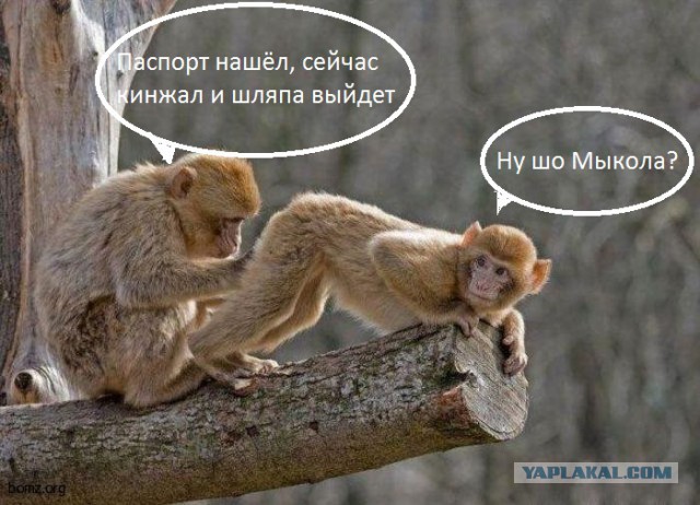 Порошенко показал в Мюнхене паспорта "военных" РФ