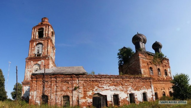 Триумф воли