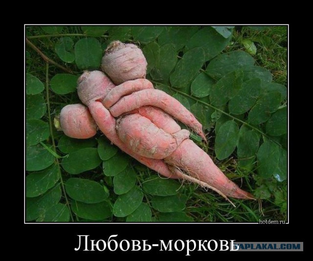 Не ешь меня