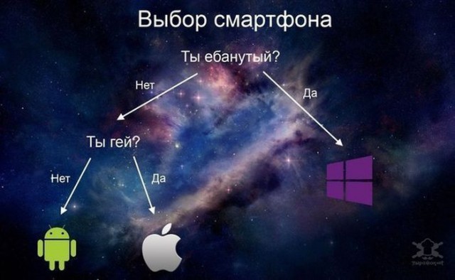 Айфон головного мозга: очереди в палатках