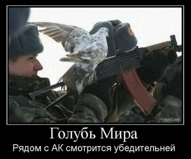 Прикольные картинки и демотиваторы