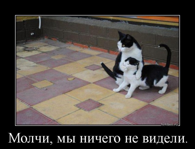 Демотиваторы на Субботу