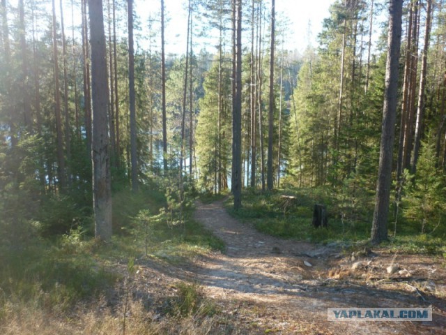 Я узнал, что у меня есть огромная семья