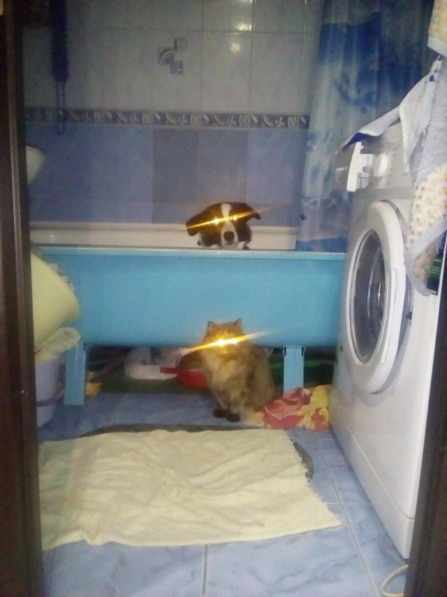 Смешные картинки