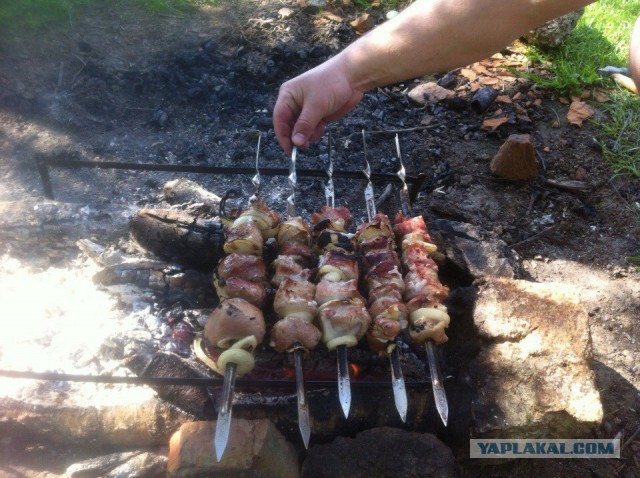 Следственный эксперимент с шашлыком