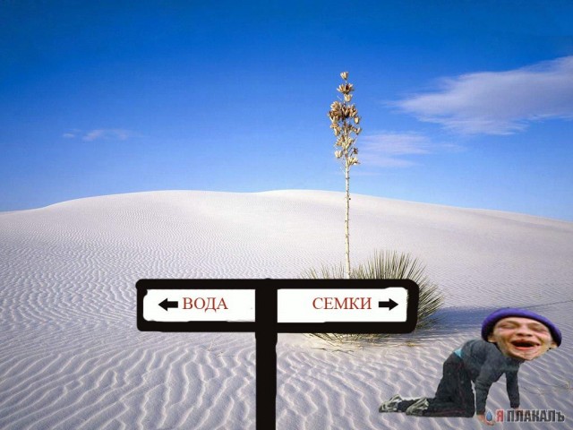 Фотожаба: ползун