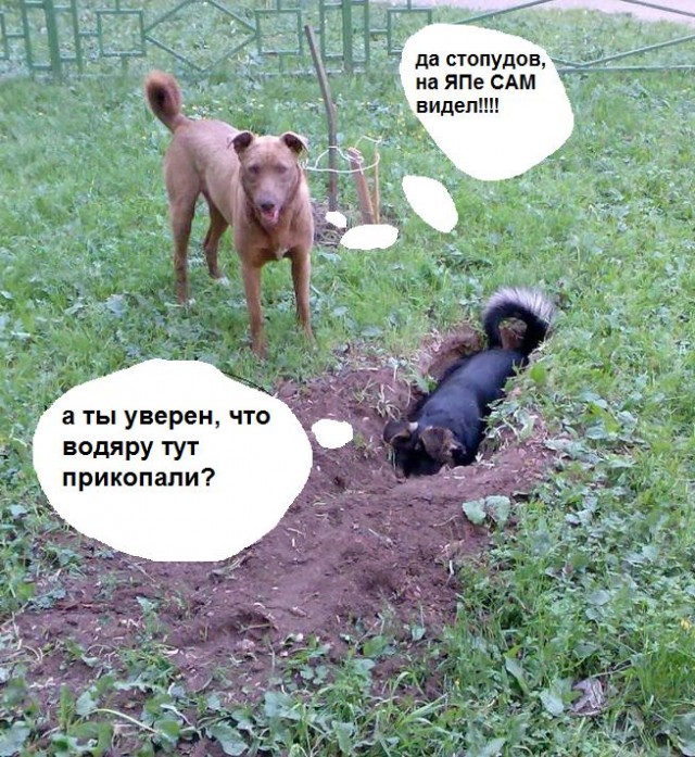 Фотожаба: да здесь где-то недалеко!