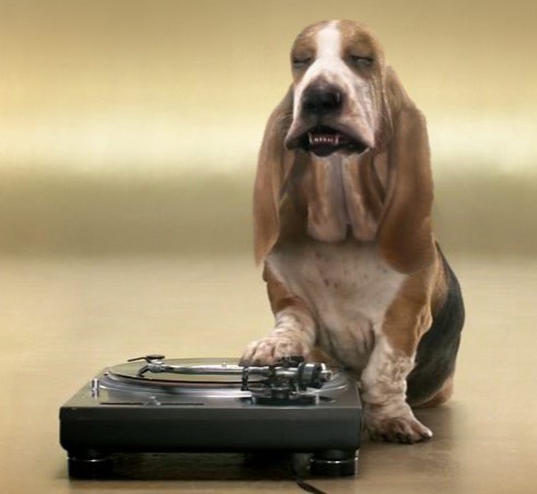 Собака диджей - Beatbox от Tele2