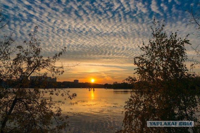 Долгопрудный (фото)