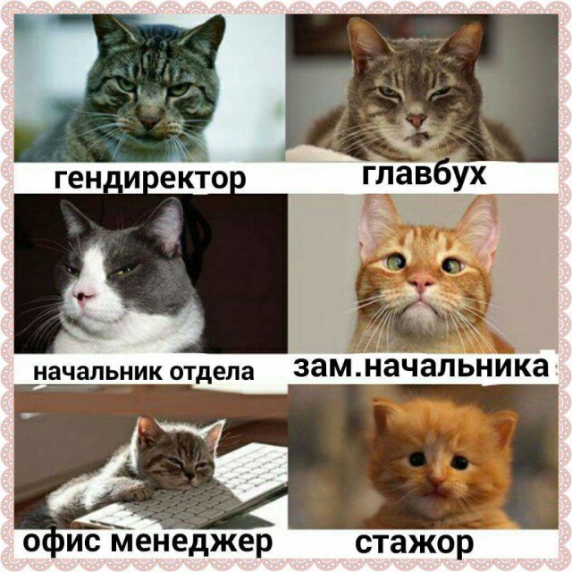 Подборка интересных и веселых картинок