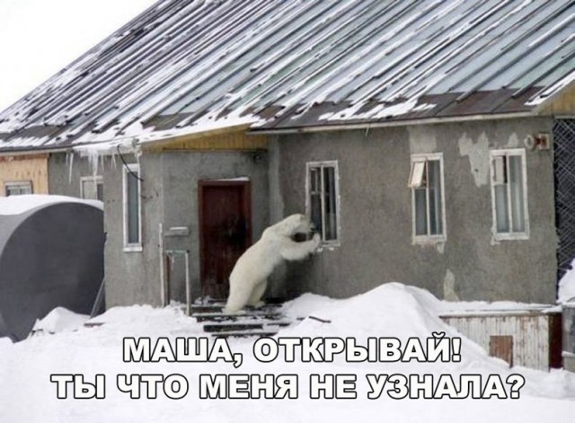 Нестандартный юмор