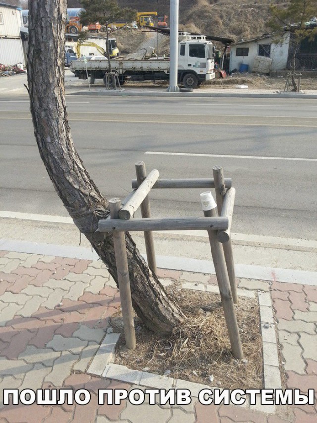 Нестандартный юмор