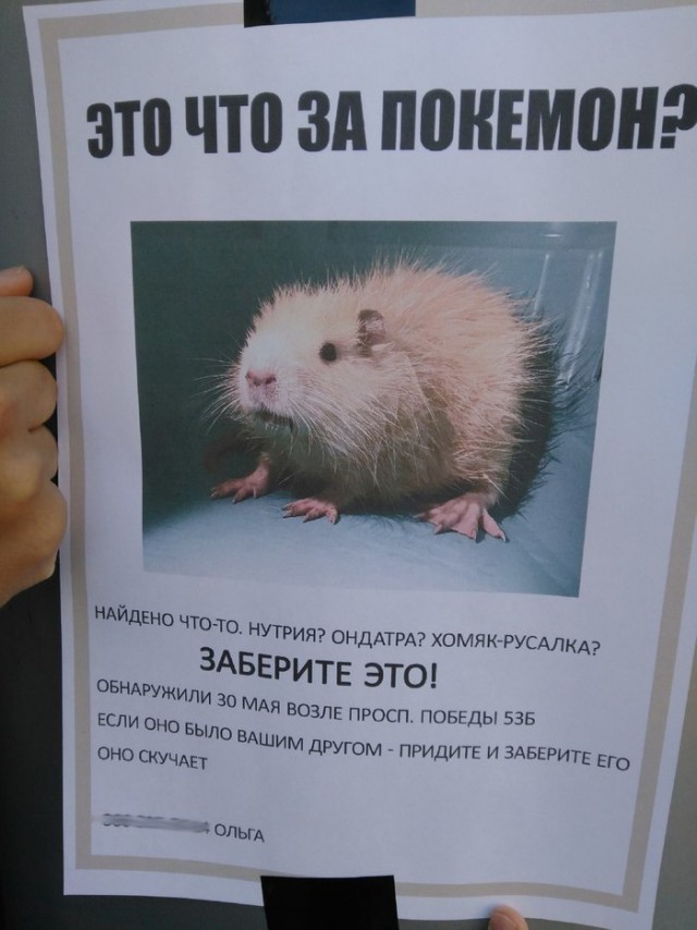 Смешные объявления, надписи и вывески