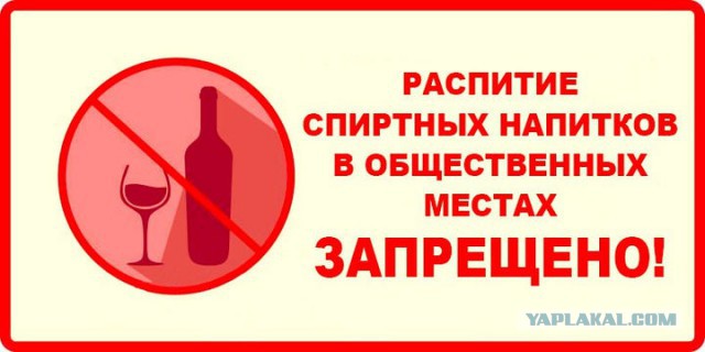 Биологи просят москвичей не приставать к пьяным свиристелям