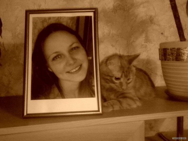 Котовторник 24.04.2012